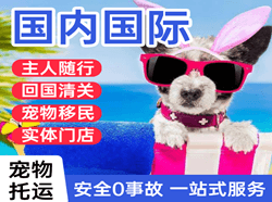 沈阳航空物流国际宠物托运 【国